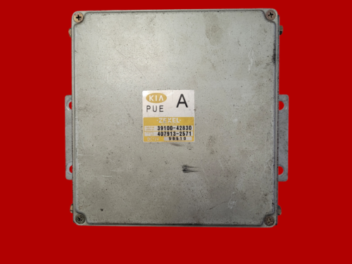KIA K 2500 KOMPUTER STEROWNIK SILNIKA 3910042830 4079132571